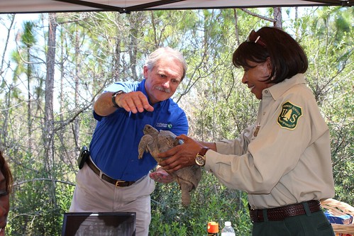 USFS State Forest Supervisor Gretta Boley passes a gopher tortoise to Jim Murrian, state director of The Nature Conservancy. 