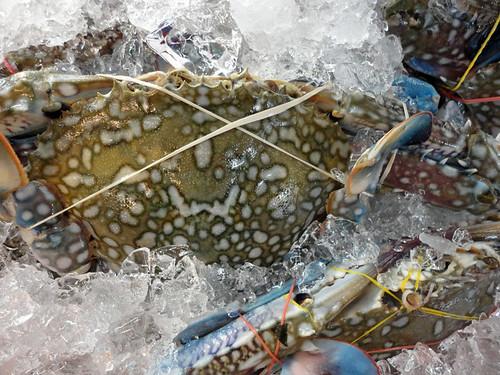 Thailand 24 Market sea food crab