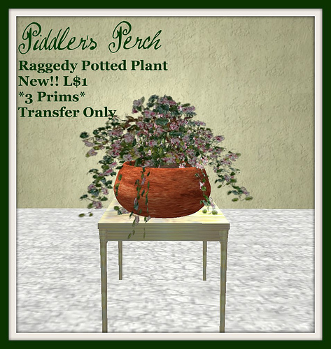 Raggedy Potted Plant