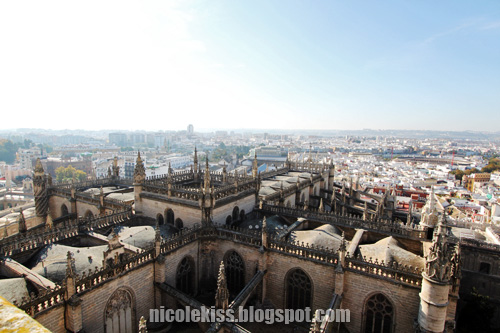 seville cathedral and city 2