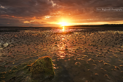 Budle Bay Sunrise by jimmypop68