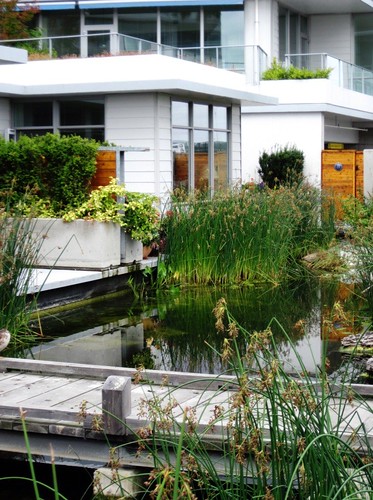 nature is integrated into Dockside Green (c2011 FK Benfield)