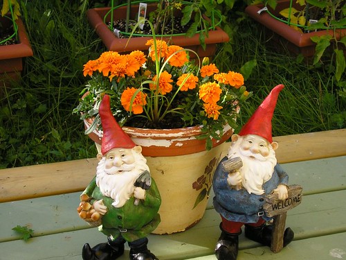 Garden Gnomes 1