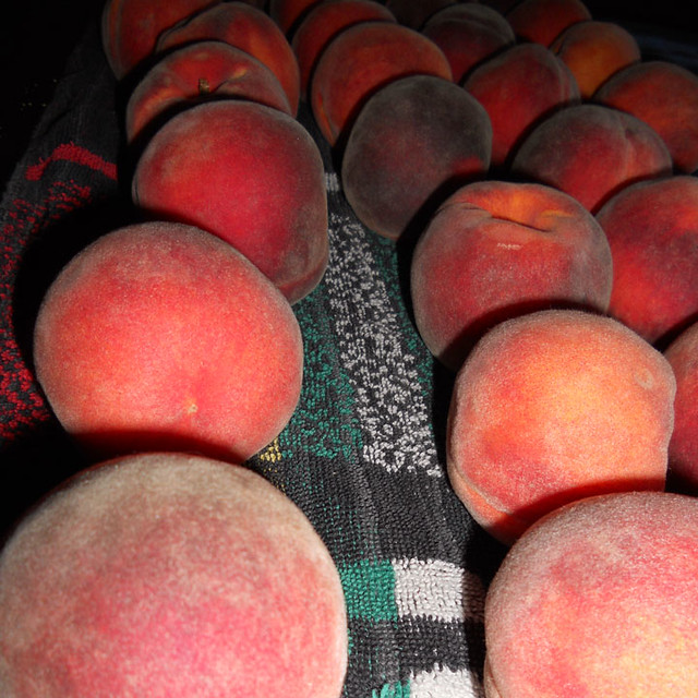peaches1