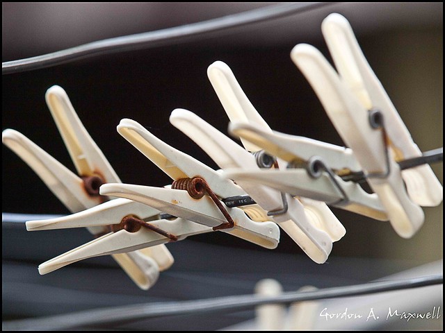 Clothes Pegs 1