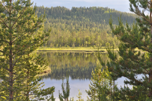 Lovely evening light shines on the water near Vägsele... seen on our way back to Lycksele... Sweden, 2011.