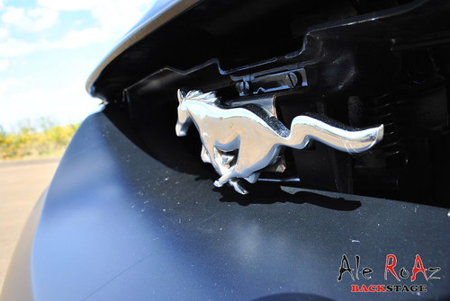 Ensaio Mustang GT V8 5.0 by Ale RoAz BACKSTAGE-45