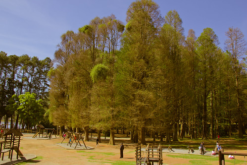 Horto Florestal by kassá