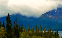 Alaska - Klondike Highway - Landscape