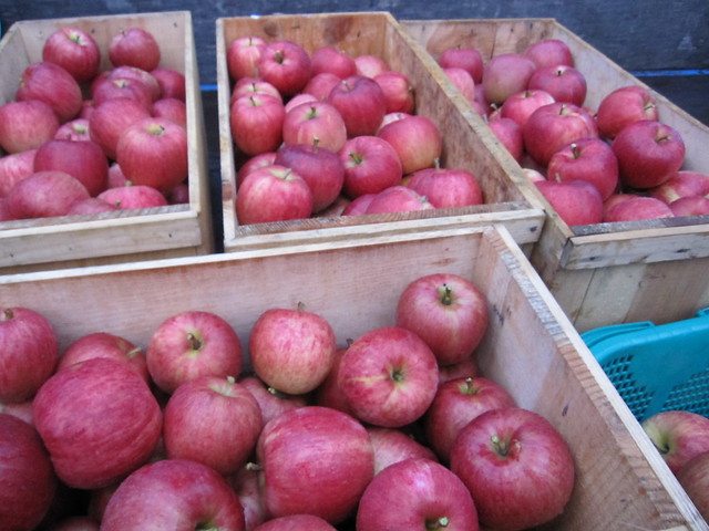 Apples on Sep. 10, 2011_3