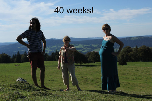 wee grub: 40 weeks