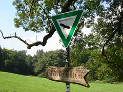 Naturschutzgebiet Holzbachschlucht