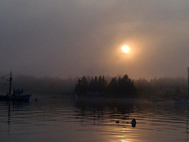 Mist in Maine