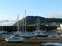 Sunny Tuesday morning in Bray harbour