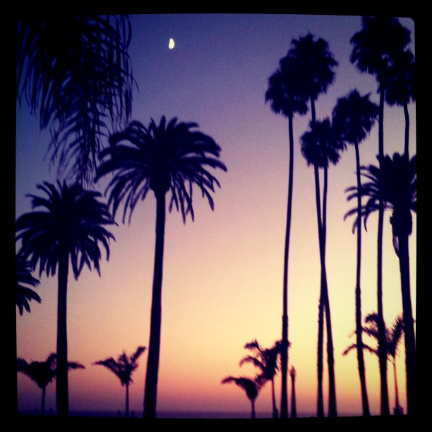 Sunset. Palm trees. The moon. Santa Monica.