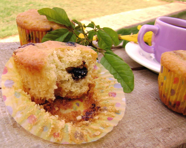 Muffins faceis de blueberry e cranberry