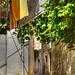Corfu 2011 - streets & stuff (tonemapped)