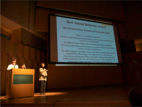 九九蜂鷹榮獲日本野生生物電影節最佳動物行為獎，為台灣生態保育爭得一席之地。圖為頒獎典禮現場。圖片來源：台灣猛禽研究會