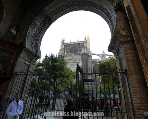 glimpse seville gothic cathedral