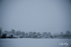 Balade sous la neige @ Bourthes | 19.12.2010
