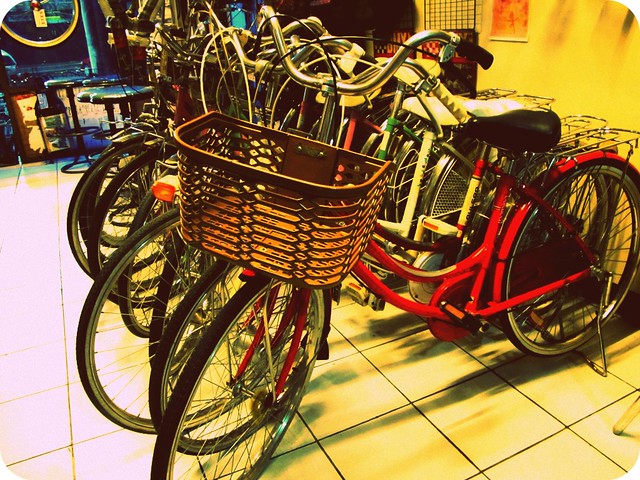 Vintage Bicycle (11)