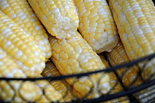 Day 224 - Iowa Corn, Part 2 by Tim Bungert
