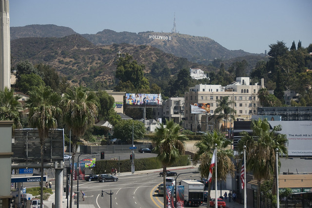 D1 hollywood sign