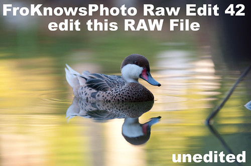 Edit this RAW File Week 42