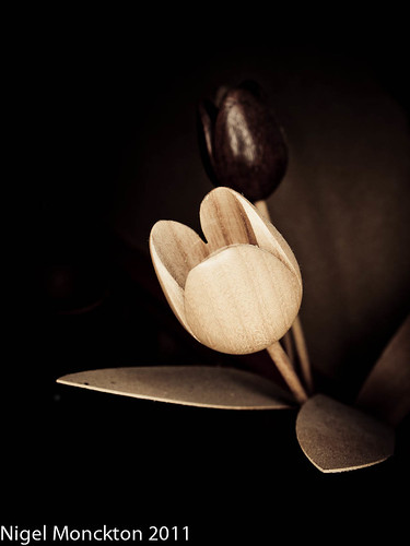 1000/518: 03 Aug 2011: Wooden Tulip by nmonckton