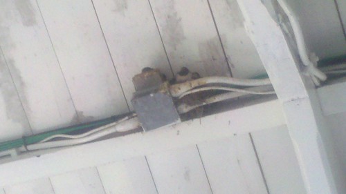 swallows nesting