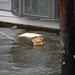 Piece of styrofoam came loose from one of the docks.