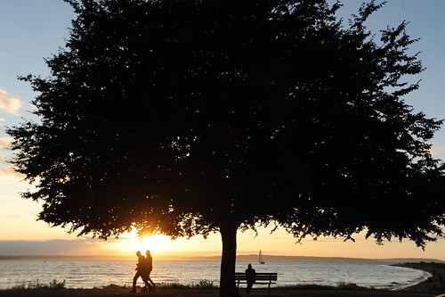 When we're together it means so much ... tree, sea, bench, sailboat, people, Golden Gardens Park, Seattle, Washington, USA by Wonderlane