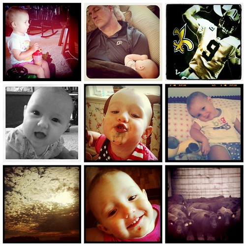 InstagramCollage13 by StewMama