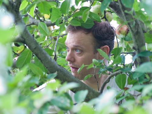 Frank hiding in a tree