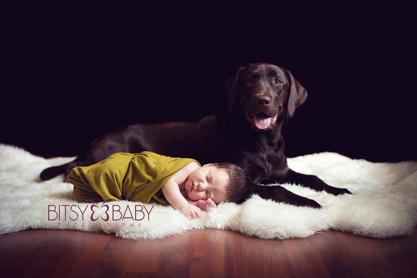 newborn photographers include pets