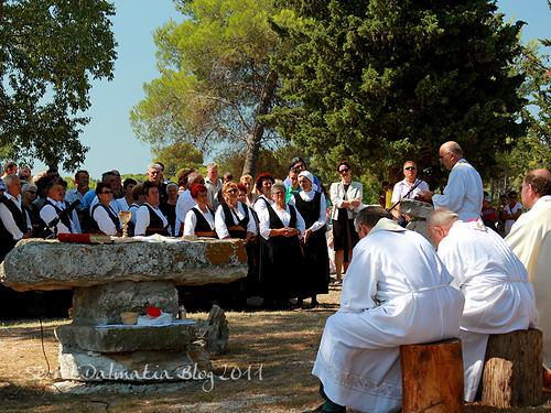 Holly Mass under the pine trees