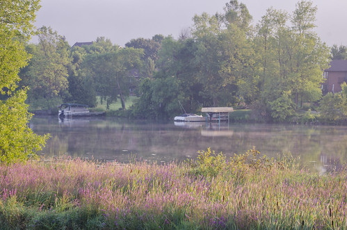 239:365 Misty morning on the Rideau