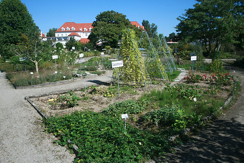 Systemgarten - Botanischer Garten München