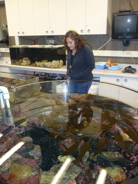 UCSB's REEF/Aquarium