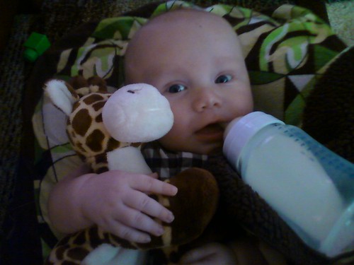 Will loves his giraffe