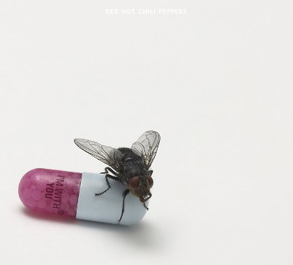 Image of the Red Hot Chili Peppers' "I'm With You": pale grey background with a photo of a half-pink/half-white medicine capsule that says "I'M WITH YOU" on the pink part and has a fly sitting on the white part.