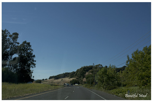 On the way to Napa Valley 2