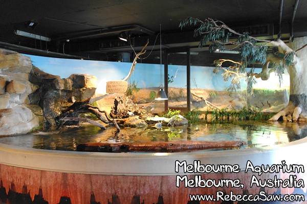 MELBOURNE AQUARIUM-34