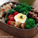 Bento #4: Fried Rice, Broccoli, Gyoza and Meatballs