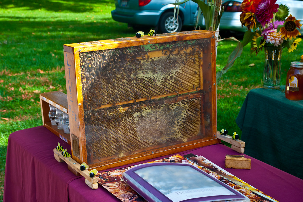 365-99 Beehive