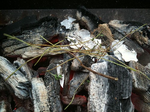 Thyme Stems on the Coals