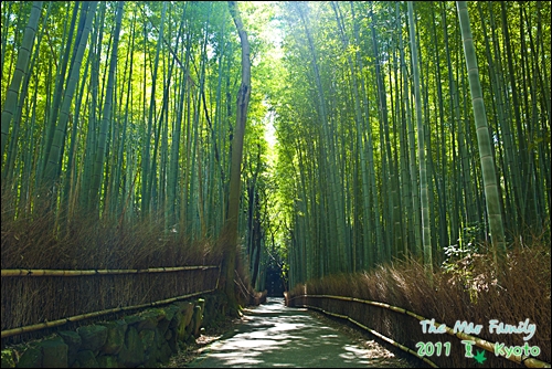 嵐山-竹林小路