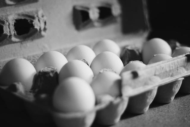 [60/365] eggs in the morning.