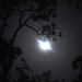 Moon as seen thru my lens