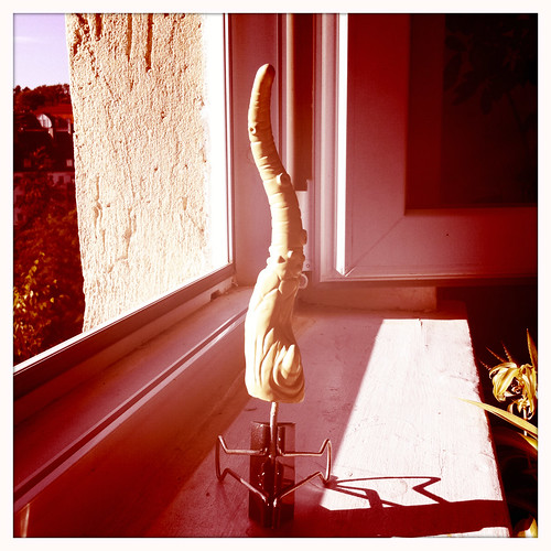 tentacle drying in the afternoon sun